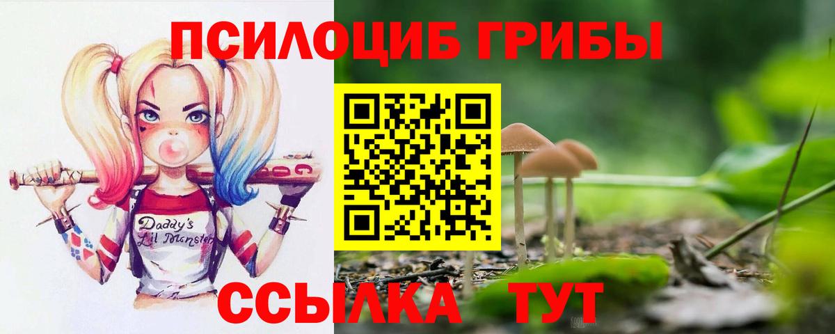 Псилоцибиновые грибы Psilocybe  Вход с VPN  Нижневартовск 